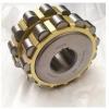 FAG N206-E-M1-C3  Cylindrical Roller Bearings