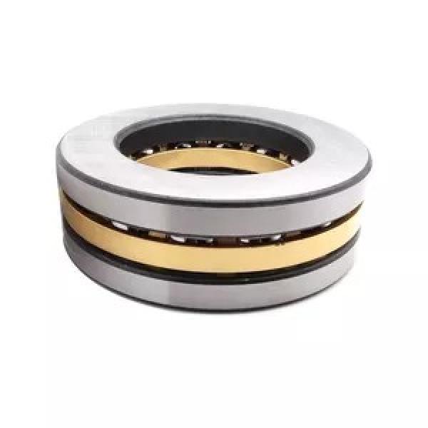 FAG NU2238-E-M1A-C3  Cylindrical Roller Bearings #1 image