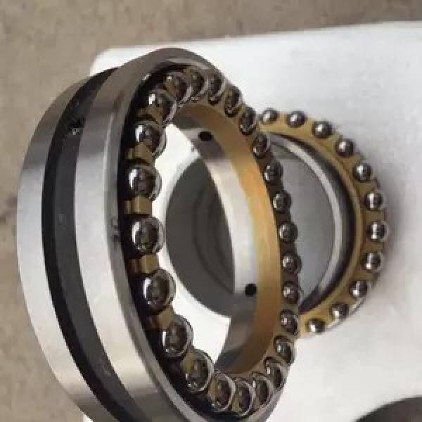 2.953 Inch | 75 Millimeter x 6.299 Inch | 160 Millimeter x 2.165 Inch | 55 Millimeter  INA SL192315-C3  Cylindrical Roller Bearings #1 image